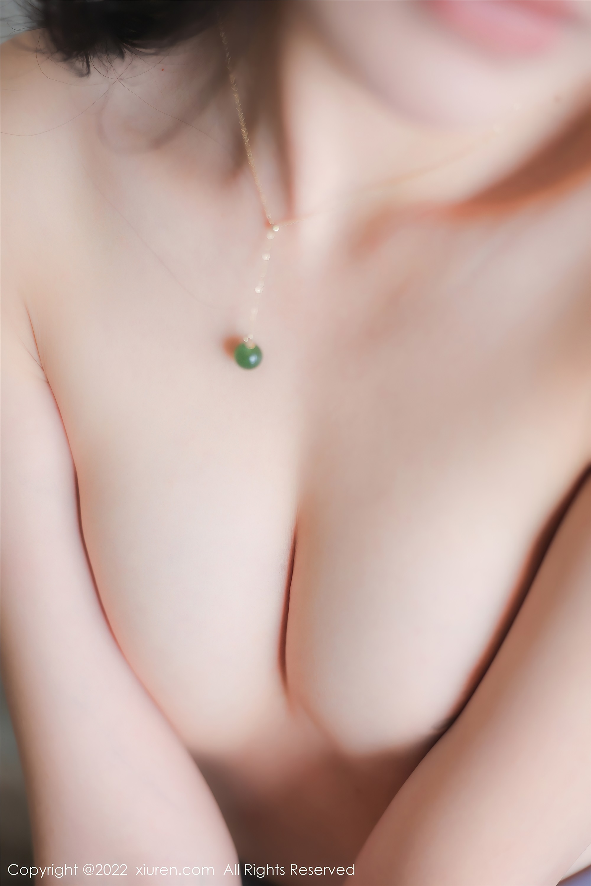 Xiuren秀人网 2022.12.12 NO.5982 浅浅Danny